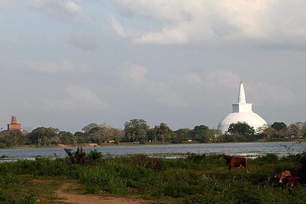 Hotel Flamingo Anuradhapura Buitenkant foto