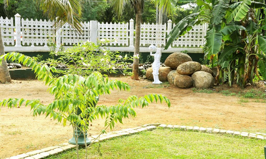 Hotel Flamingo Anuradhapura Buitenkant foto
